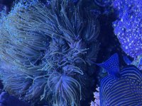 IMG_2919.jpeg