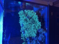 IMG_6777.jpeg