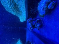 IMG_6775.jpeg
