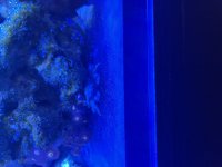 IMG_6790.jpeg
