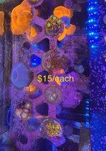 IMG_6130.jpeg