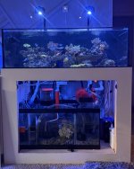 IMG_3233.jpeg