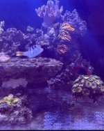 IMG_3234.jpeg