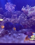 IMG_3235.jpeg