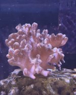 IMG_3247.jpeg