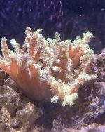 IMG_3248.jpeg