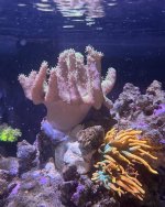 IMG_3249.jpeg