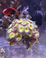 IMG_3250.jpeg
