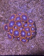 IMG_3262.jpeg