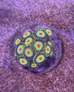 IMG_3258.jpeg