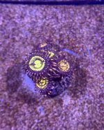 IMG_3259.jpeg