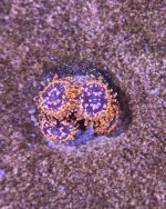 IMG_3261.jpeg