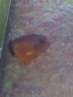 20250930_142309.jpg