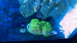 IMG_2906.jpeg