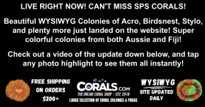 Screenshot 2025-10-09 at 3.05.37 PM.png