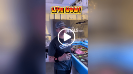 Untitled design(147).png