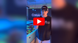 Untitled design(146).png