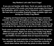 Screenshot 2025-10-10 at 2.48.16 PM.png