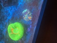 IMG_2637.jpeg