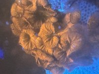 IMG_2644.jpeg