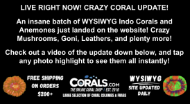 Screenshot 2025-10-14 at 12.01.06 PM.png