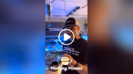 Untitled design(150).png