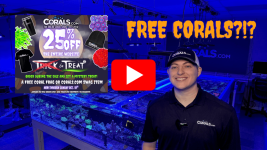 FREE CORALS!(3).png