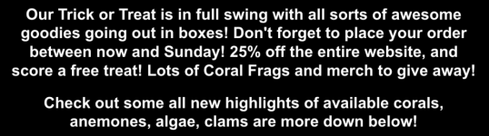 Screenshot 2025-10-16 at 4.05.52 PM.png