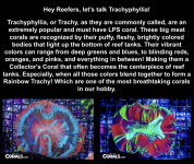 Screenshot 2025-10-17 at 1.27.33 PM.png