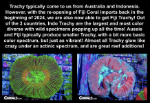 Screenshot 2025-10-17 at 1.27.43 PM.png