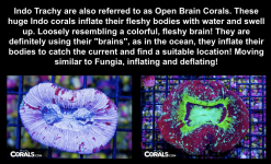 Screenshot 2025-10-17 at 1.27.49 PM.png