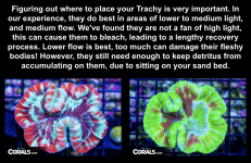 Screenshot 2025-10-17 at 1.27.54 PM.png