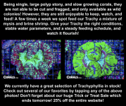 Screenshot 2025-10-17 at 1.28.00 PM.png