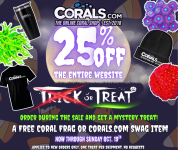 Trick or Treat 2025(2).png