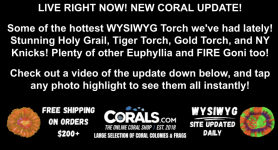 Screenshot 2025-10-17 at 3.32.47 PM.png