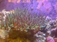 IMG_6073.jpeg