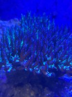 IMG_6072.jpeg
