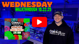 Walkthrough 10.22.25.png