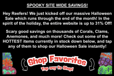 Screenshot 2025-10-24 at 12.09.44 PM.png