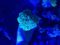 IMG_2814.jpeg