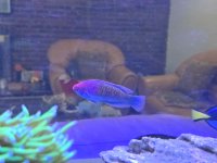 WhatsApp Image 2025-10-27 at 4.24.13 PM.jpeg