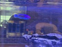 WhatsApp Image 2025-10-27 at 4.24.14 PM (1).jpeg