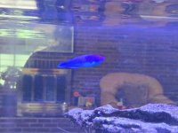 WhatsApp Image 2025-10-27 at 4.24.14 PM.jpeg