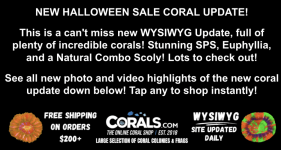 Screenshot 2025-10-28 at 3.40.02 PM.png