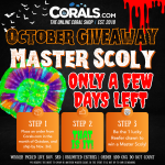 Master Scoly Giveaway(2).png