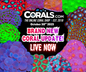 10.30 new coral.png