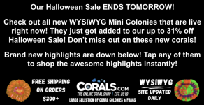 Screenshot 2025-10-30 at 2.14.45 PM.png