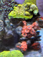 IMG_3524.jpeg IMG_3524.jpeg