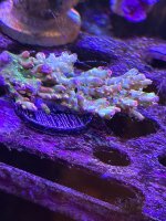 IMG_3476.jpeg IMG_3476.jpeg