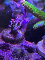 IMG_3478.jpeg IMG_3478.jpeg